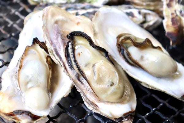 【宇部新川・小野田・厚狭発】シーズン到来!!糸島のカキ小屋でど~んと牡蠣1kg食す 日帰り3